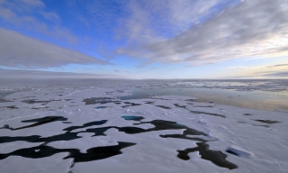 <br />
Арктика и Антарктика манят туристов, несмотря на цены&nbsp<br />
