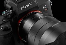 Красота в деталях: Sony A7R III как туристическая камера