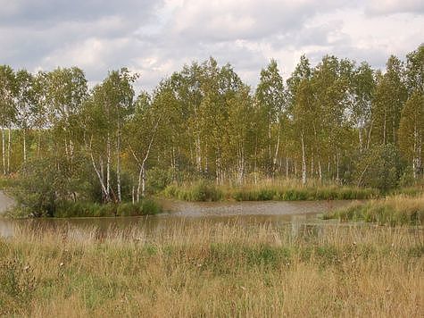 В дельте Волги завершают очистку каналов