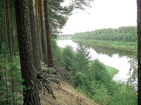 Выпущено около 320 тысяч мальков стерляди в Оку